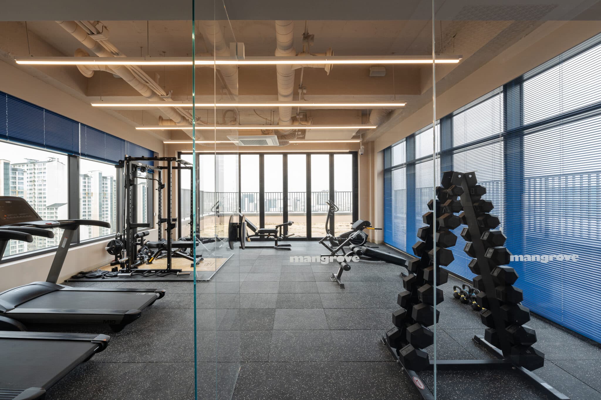 맹그로브 신촌 헬스룸